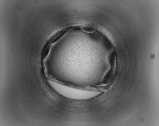 X0000098150354200805011413