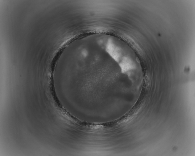X0000098150355200805011413