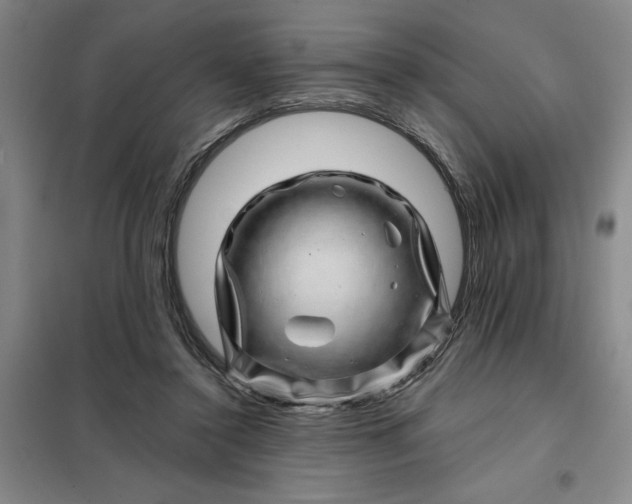 X0000098150356200805011413