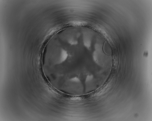 X0000098150357200805011413