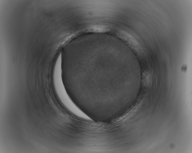 X0000098150358200805011413