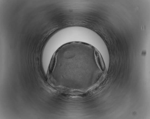 X0000098150360200805011413