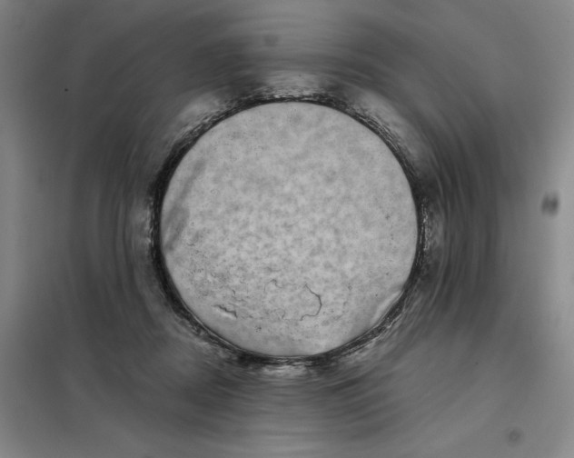 X0000098150362200805011413