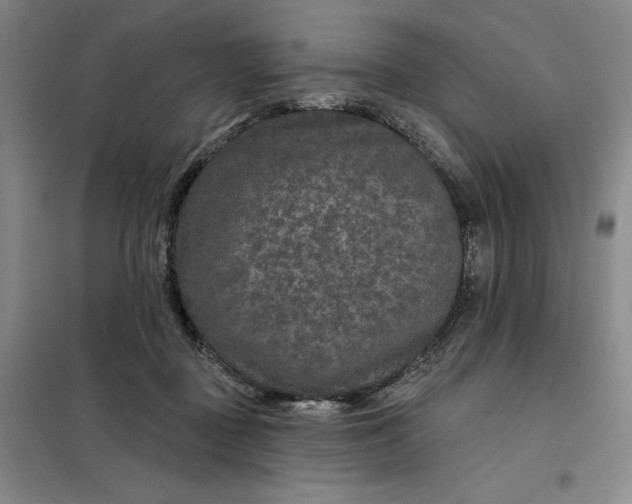 X0000098150363200805011413