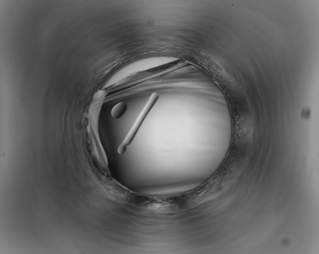 X0000098150364200805011413
