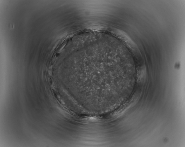 X0000098150365200805011413
