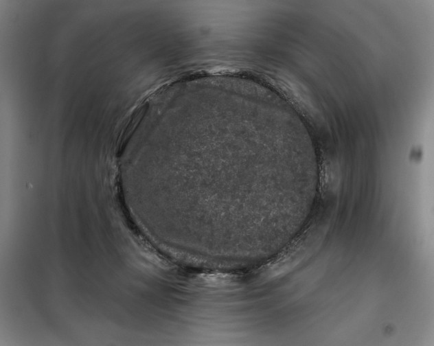 X0000098150367200805011413