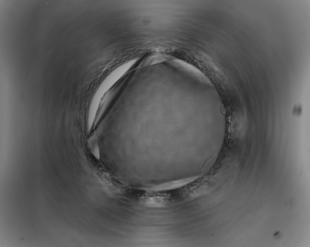 X0000098150368200805011413
