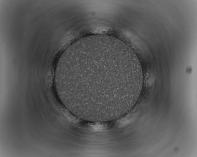 X0000098150370200805011413