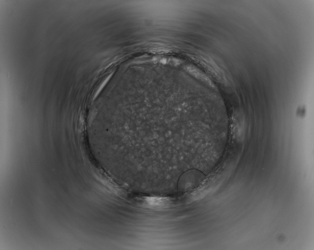 X0000098150371200805011413