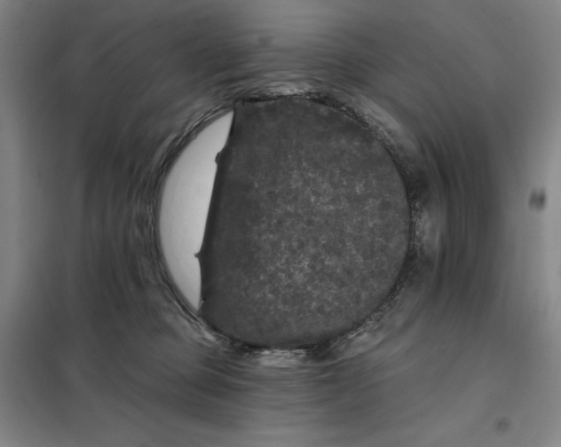 X0000098150373200805011413