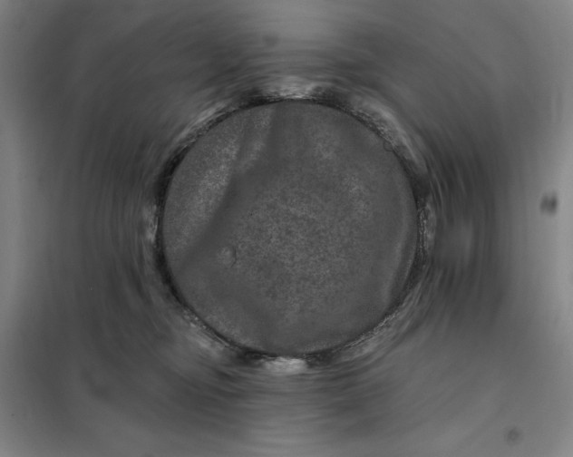 X0000098150374200805011413