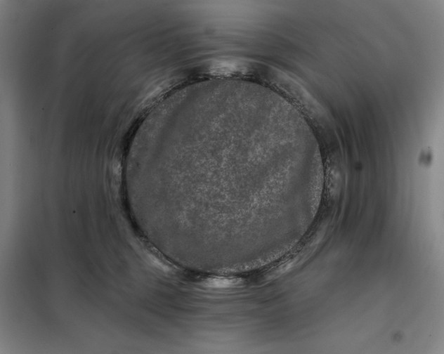 X0000098150375200805011413