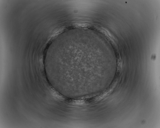 X0000098150377200805011413