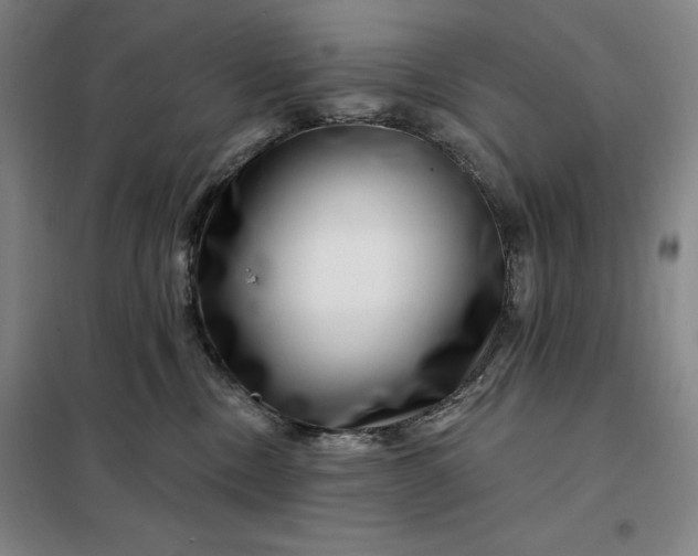 X0000098150378200805011413