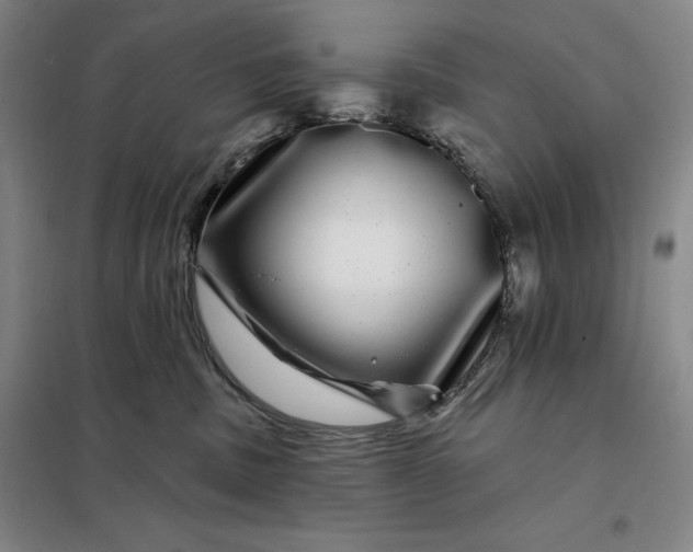 X0000098150379200805011413