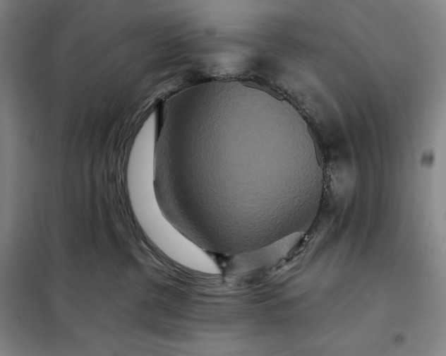 X0000098150380200805011413