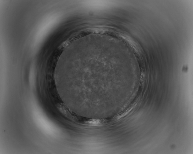 X0000098150381200805011413