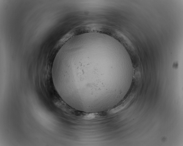 X0000098150382200805011413