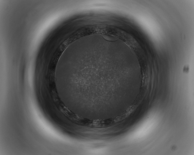 X0000098150383200805011413