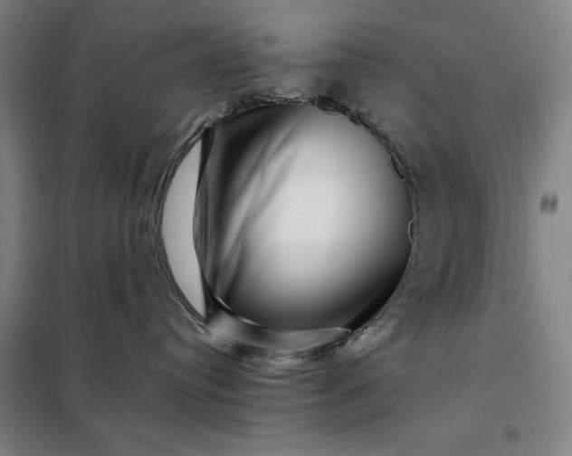 X0000098150384200805011413