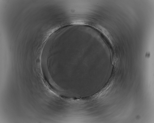 X0000098150385200805011412