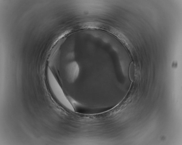 X0000098150386200805011412