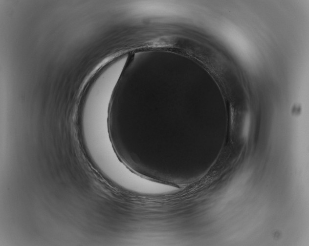 X0000098150387200805011412