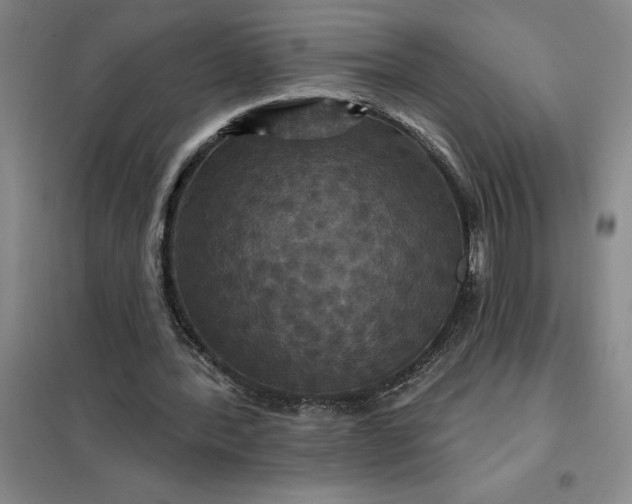 X0000098150388200805011412