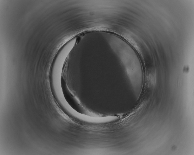 X0000098150389200805011412