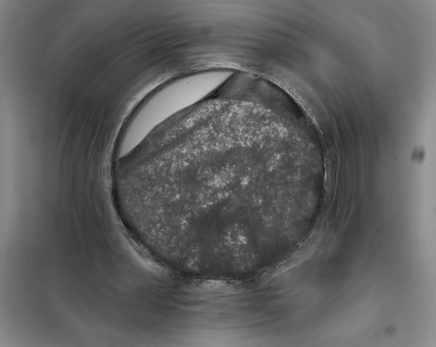 X0000098150390200805011412