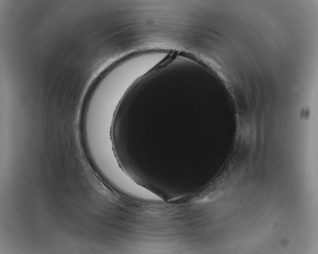 X0000098150391200805011412