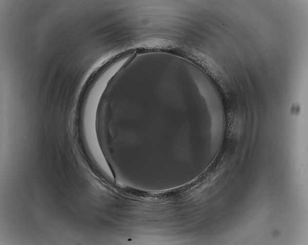X0000098150392200805011412