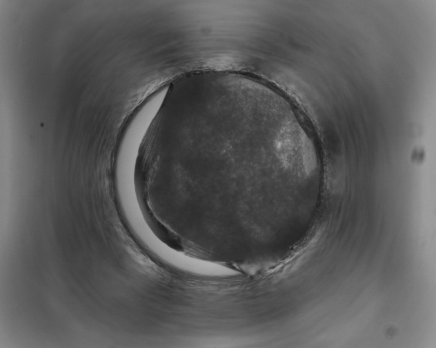 X0000098150393200805011412