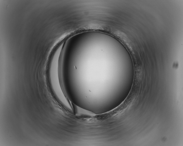 X0000098150395200805011412