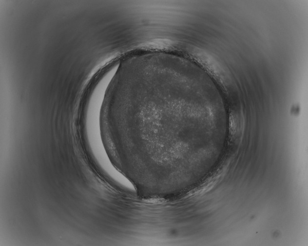X0000098150396200805011412