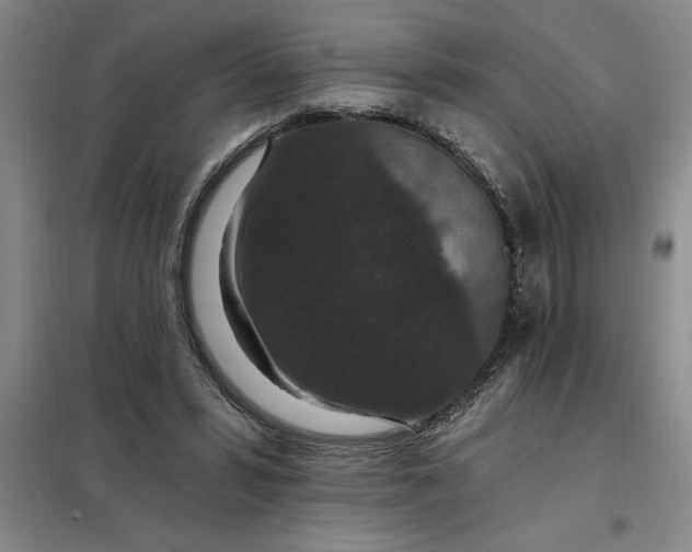 X0000098150399200805011412