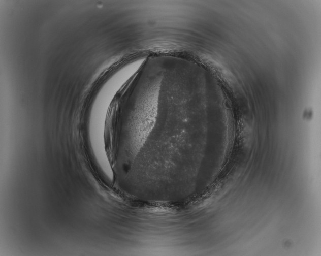 X0000098150400200805011412