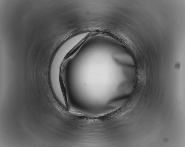 X0000098150401200805011412