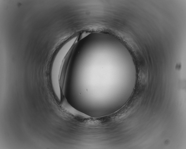 X0000098150403200805011412