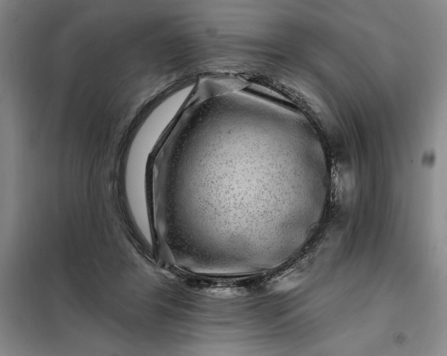 X0000098150404200805011412