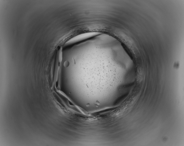 X0000098150405200805011412