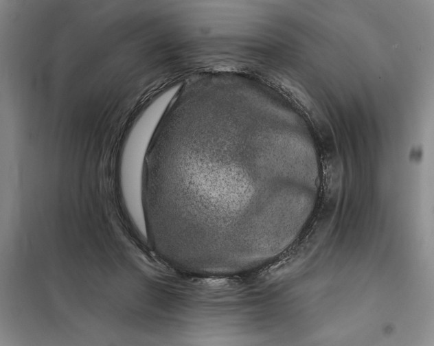 X0000098150406200805011412
