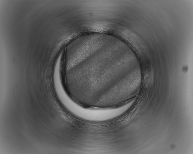 X0000098150407200805011412