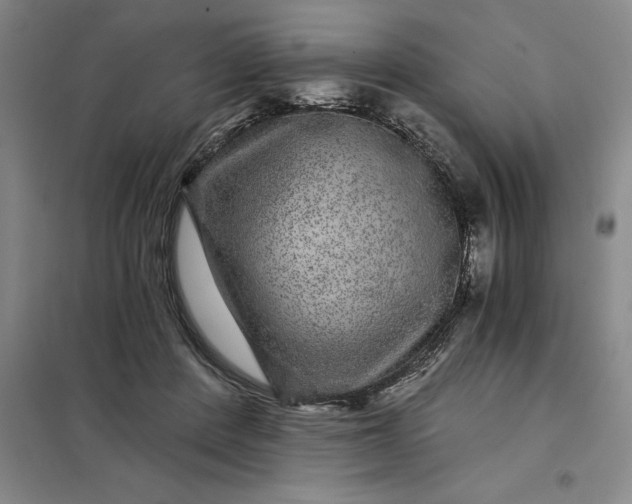 X0000098150408200805011412
