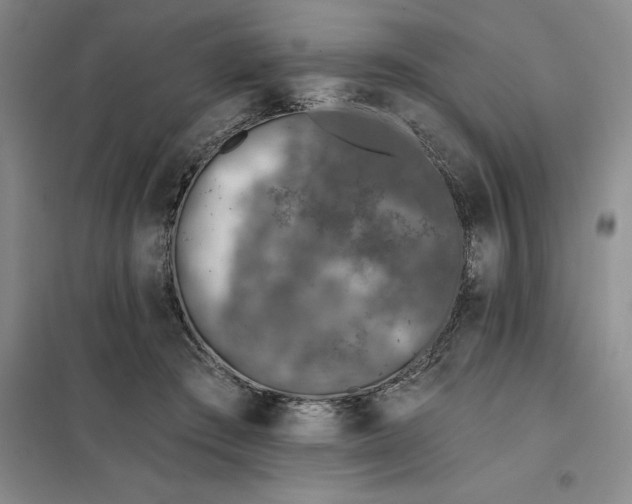 X0000098150409200805011412