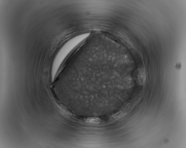 X0000098150410200805011412