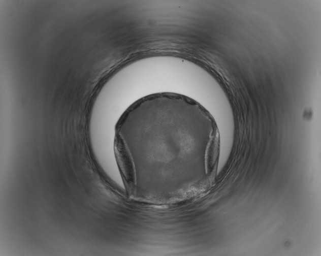 X0000098150411200805011412