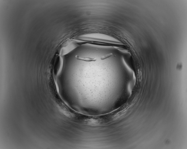 X0000098150412200805011412