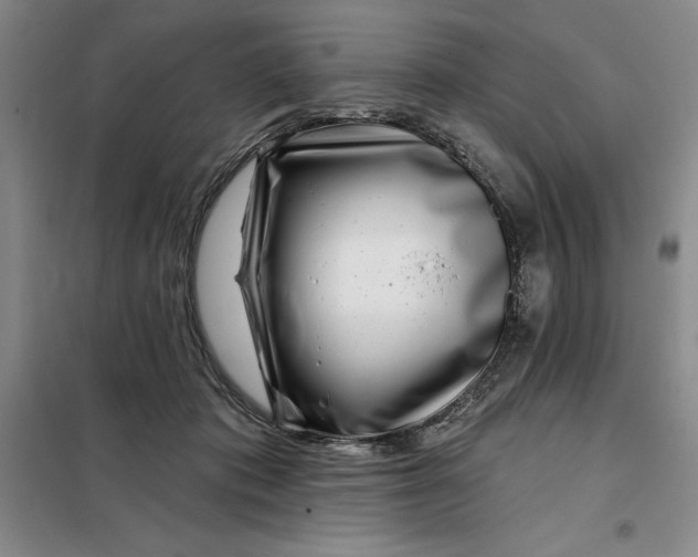 X0000098150413200805011412